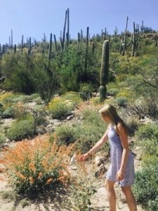 Cactus touch