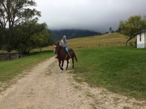 Horse riding