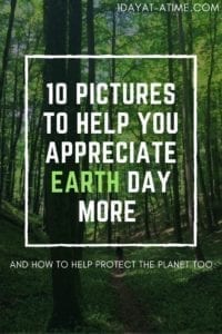 10 Pictures to help you appreciate earth day more