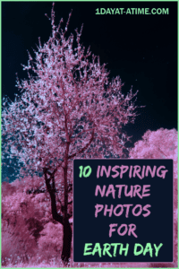 Earth day photos