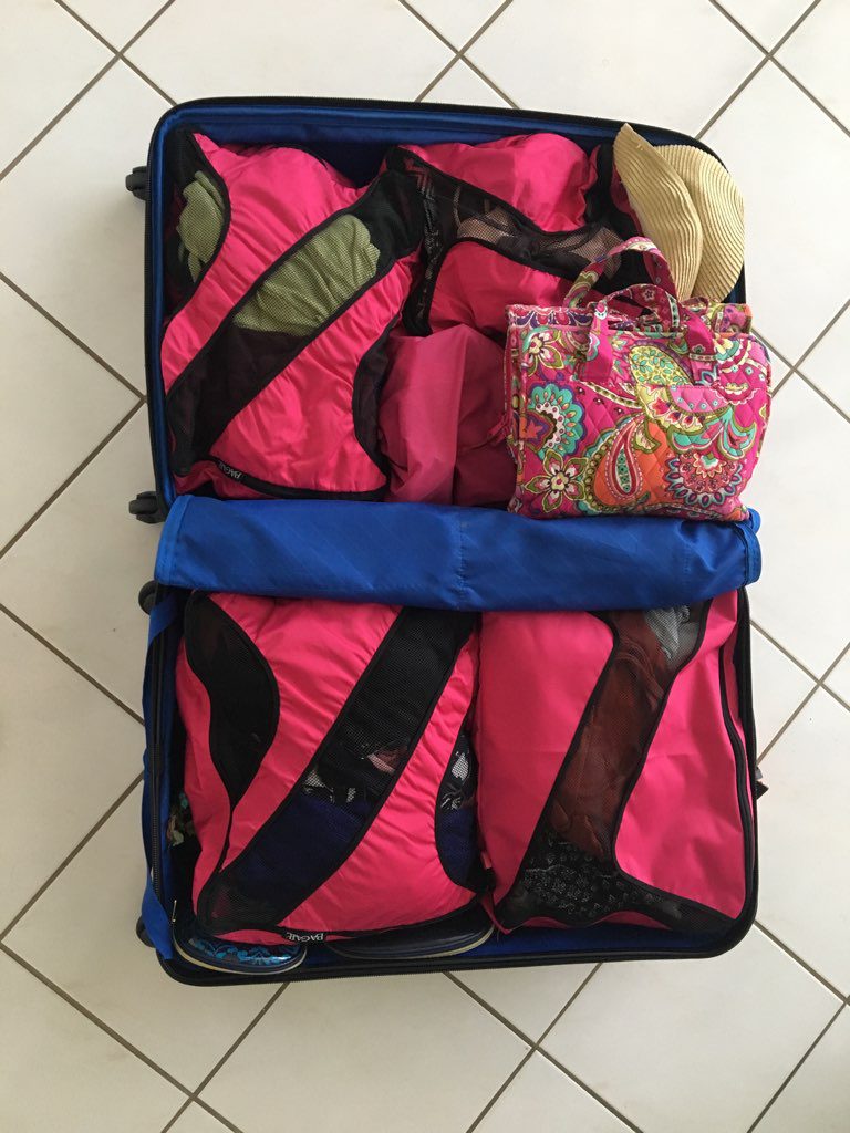 pack for cruise with ebags