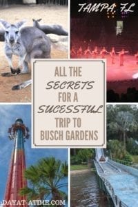 Busch gardens in tampa