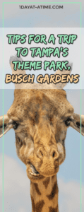 Tampa bays theme park