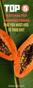 Top 5 Natural fat burning foods that you must add in your diet